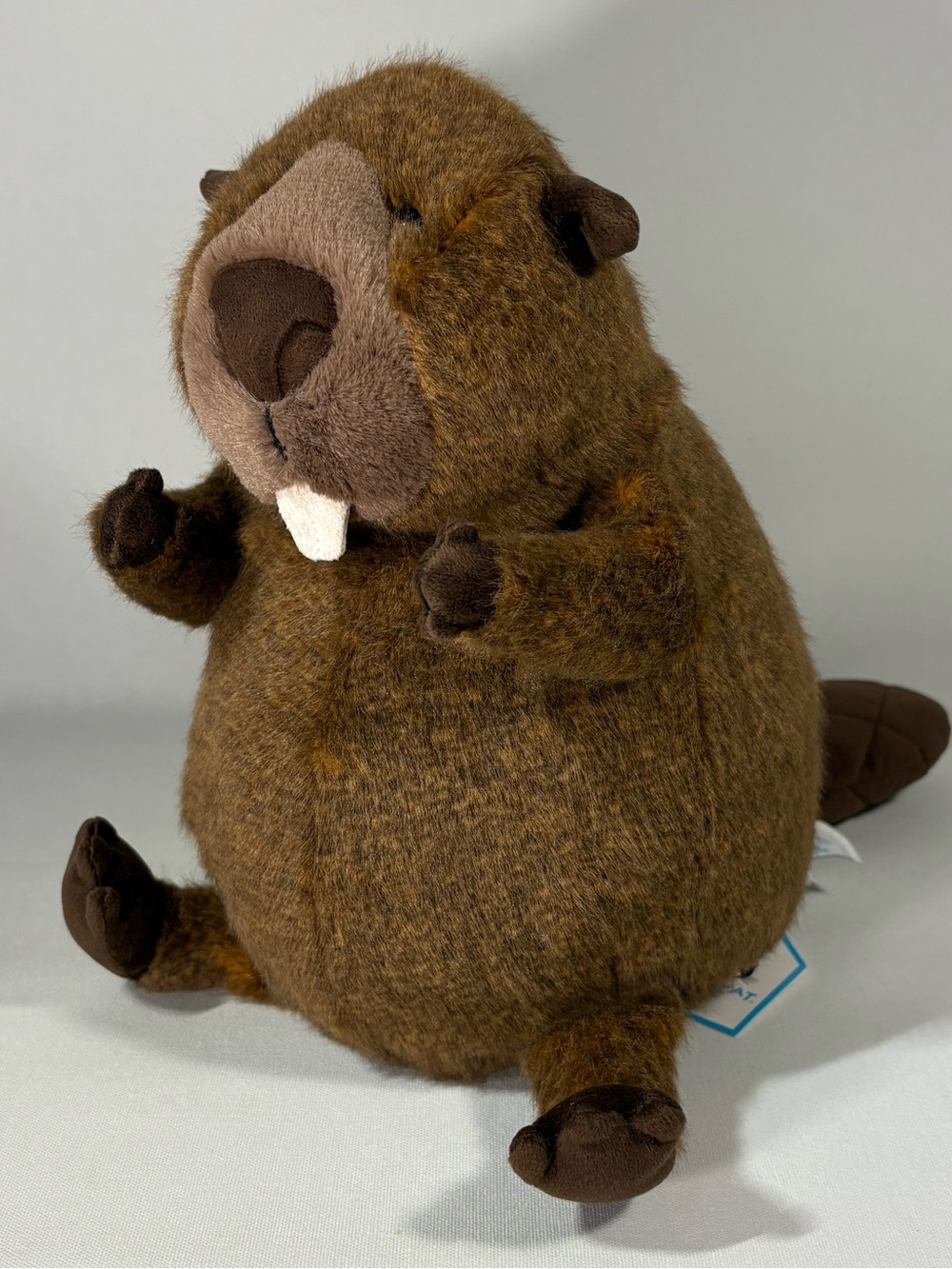 🍁 RARE BRAND NEW JELLYCAT BRIGGS BEAVER SOFT PLUSH - LIMITED EXCLUSIVE 🍁